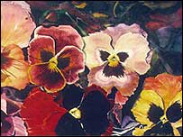 Pansies