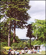 The Larmer Tree
