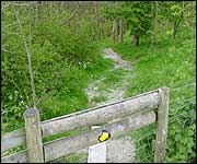 On the right track: public footpath leading to the Ashcombe estate.