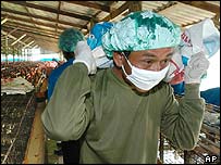 Tayland'daki toplantıda kuş gribi virüsü tartışılıyor