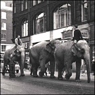 Bringing up the rear...