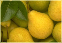 Pears