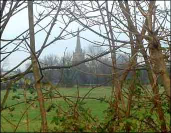 A country church viewed through trees