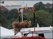 A dog jumping through a flaming ring.