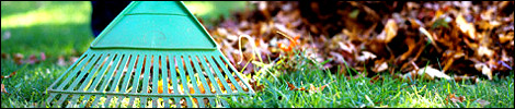 Autumn