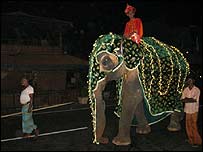 Elephant in Galle
