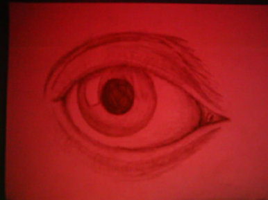 The Eye
