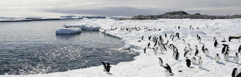 Antarctica
