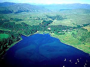 Morven (Image: Aline c/o Ardtornish Estate)