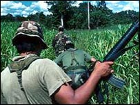 Policiais em operação de erradicação de cultivos de coca na Bolívia