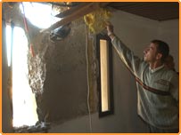 زندہ بچ رہنے کی کوشش