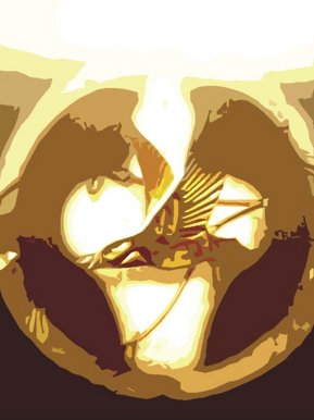 Gideon box cutter and metal birds