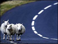Oile nu vor mai avea voie sa treaca pe drumuri naţionale