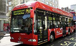 A close-up glimpse of a whole peppercorn with a grain of sea salt