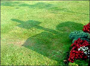 عکس از فريد مقامی