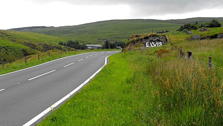 Elvis Rock. Photo: Penny Mayes