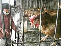 چین میں وائرس