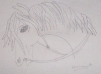 Horse....