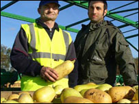 在农场工作的东欧移民