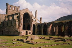 Melrose Abbey