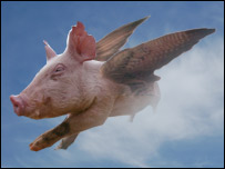 A flying pig