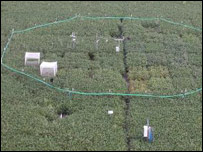 Plantação de soja na Universidade de Illinois (Cortesia Evan DeLucia)