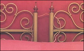 Highlight from the book cover