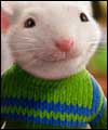 Stuart Little