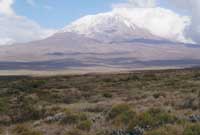 Fy nghip cyntaf ar y mynydd