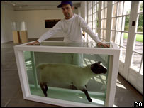 达明安·赫斯特和他的早期作品