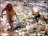 جستجو در زباله های بمبئی در هند