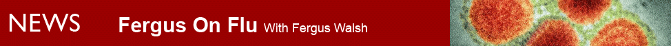 BBC BLOGS - Fergus On Flu