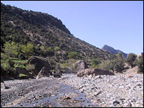 دخوست ولايت