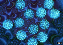 Human Papilloma Virüsü (HPV)