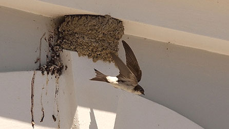 housemartin_david_john.jpg