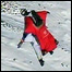 Wingsuit