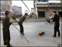 Policiais matam cachorro a pauladas em Luoping