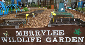 Merrylee Primary School
