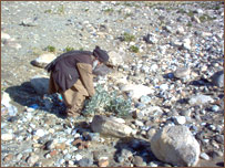 خطر ماين و جمع آوری هيزم