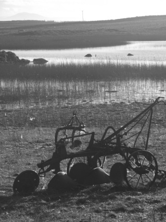 On the croft, Benbecula