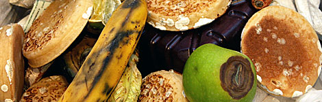 Rotten food in a bin