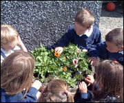 Pupils involved in the Eco-Schools programme