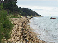 Netley Shoreline