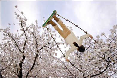 Foto: Kevin Cozma/TPOTY 2009