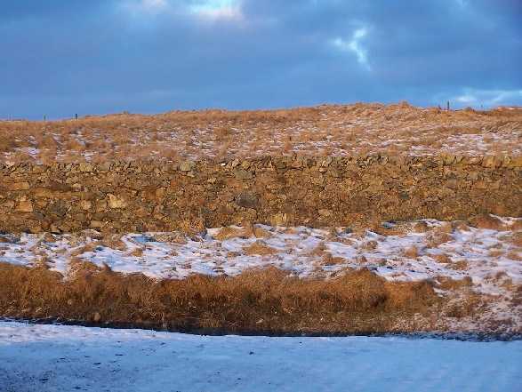 No reason for it - I just like this picture.