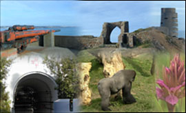 Montage of things to do in Jersey