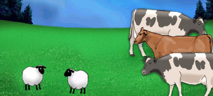 دوه همجنسه شيان سره جمع کيږي.