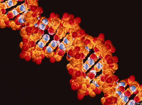 Computer artwork of the structure of DNA