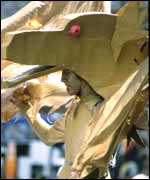 Costumed revellers in the Godiva Festival 