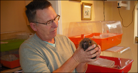 Stewart and a recovering strimmer victim